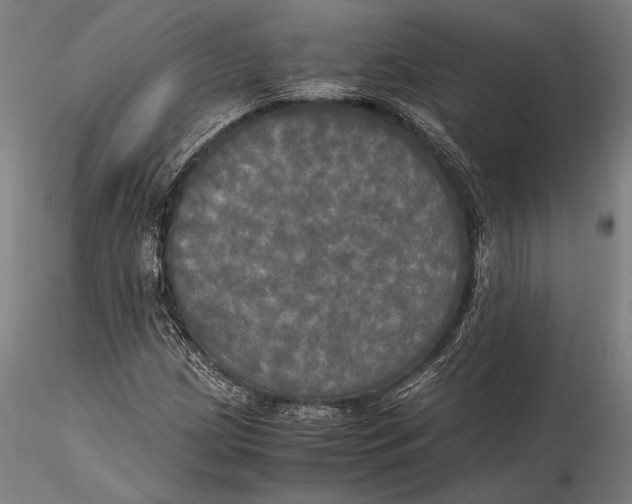 X0000116051209200912111456