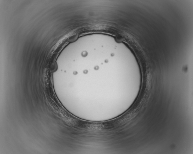 X0000116051210200912111456