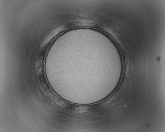 X0000116051211200912111456