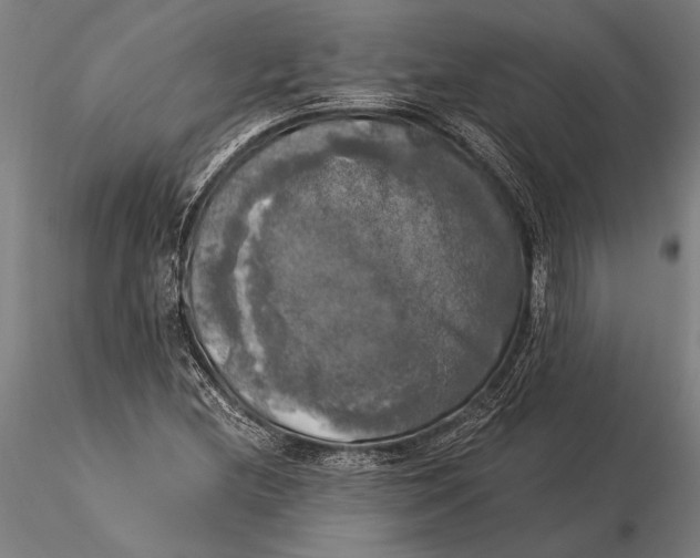 X0000116051212200912111456