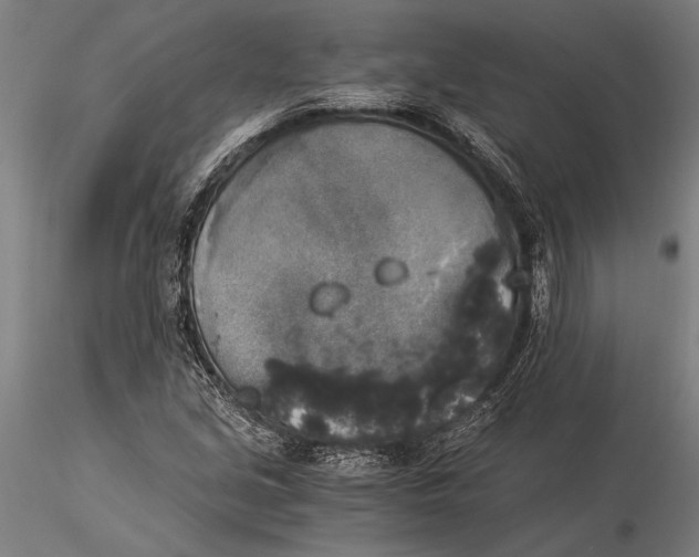 X0000116051213200912111456