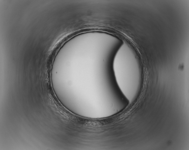 X0000116051215200912111456