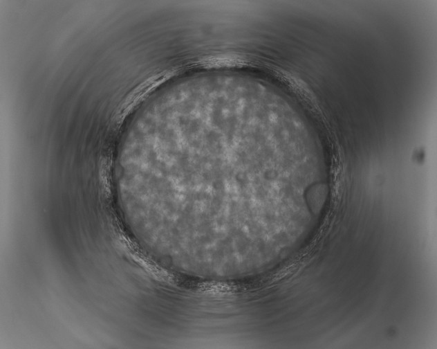 X0000116051217200912111456