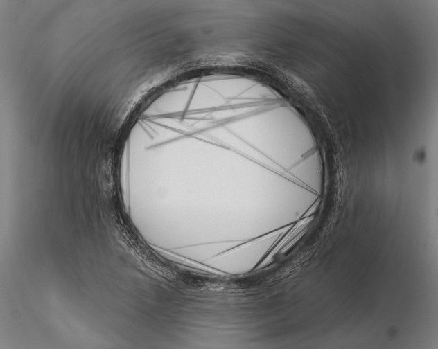X0000116051218200912111456