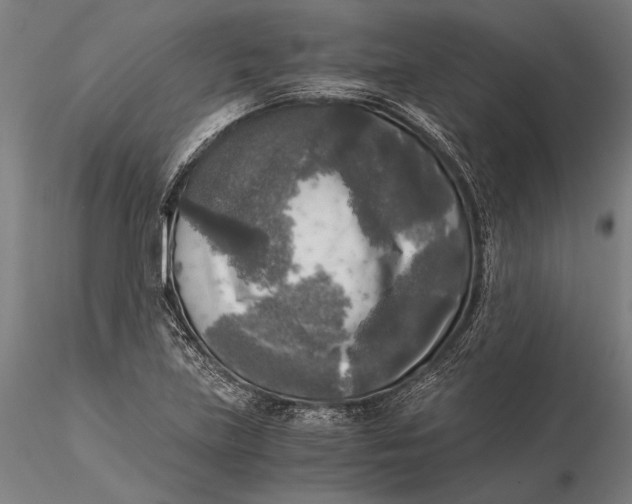 X0000116051219200912111456