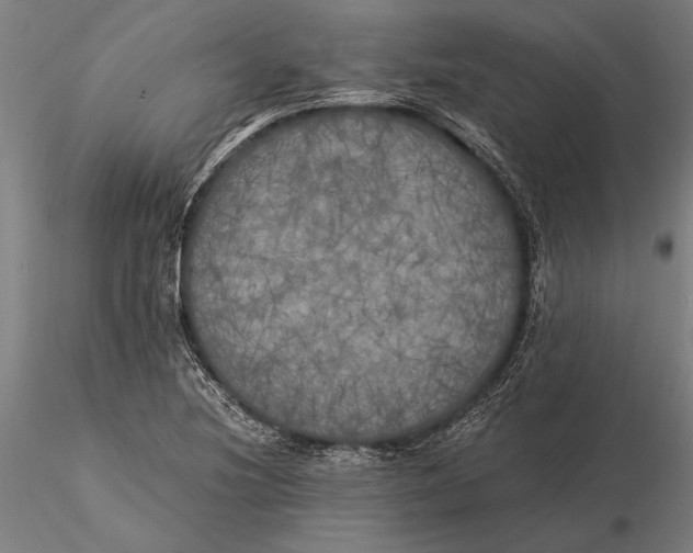 X0000116051220200912111456