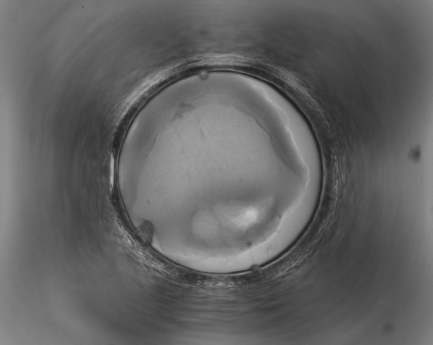 X0000116051221200912111456
