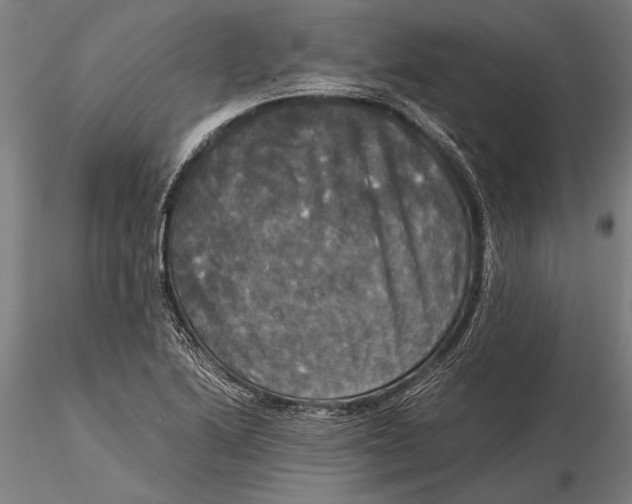 X0000116051222200912111456