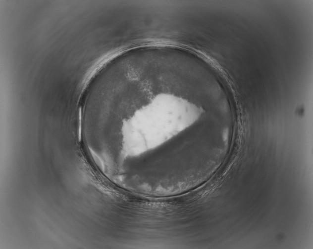 X0000116051223200912111456