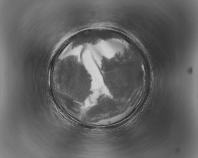 X0000116051224200912111456