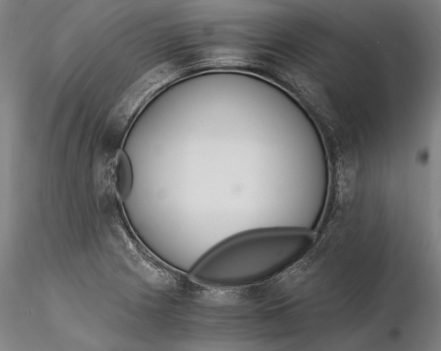 X0000116051225200912111456