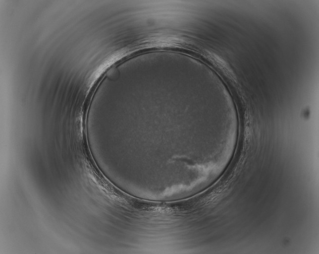 X0000116051226200912111456