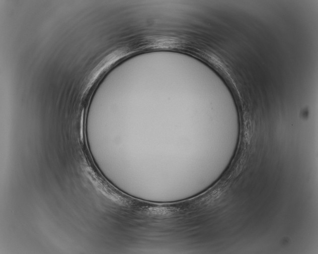 X0000116051227200912111456