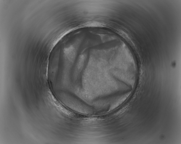 X0000116051228200912111456