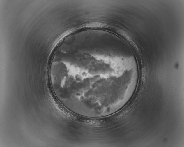 X0000116051229200912111456