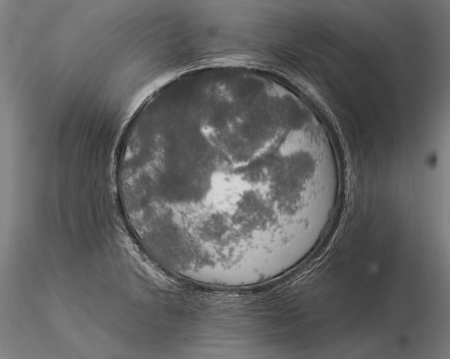 X0000116051230200912111456