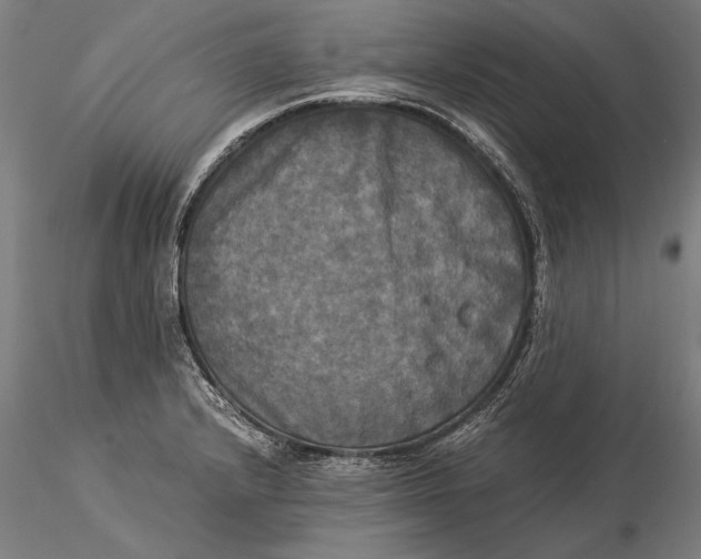X0000116051232200912111456