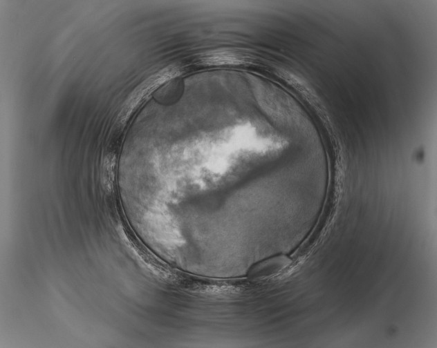 X0000116051233200912111456