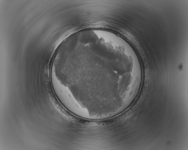 X0000116051234200912111456
