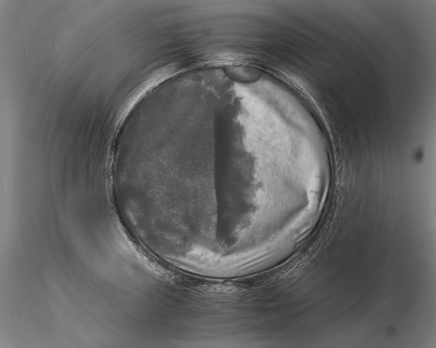 X0000116051235200912111456