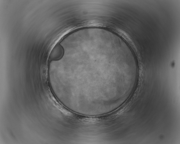 X0000116051236200912111456