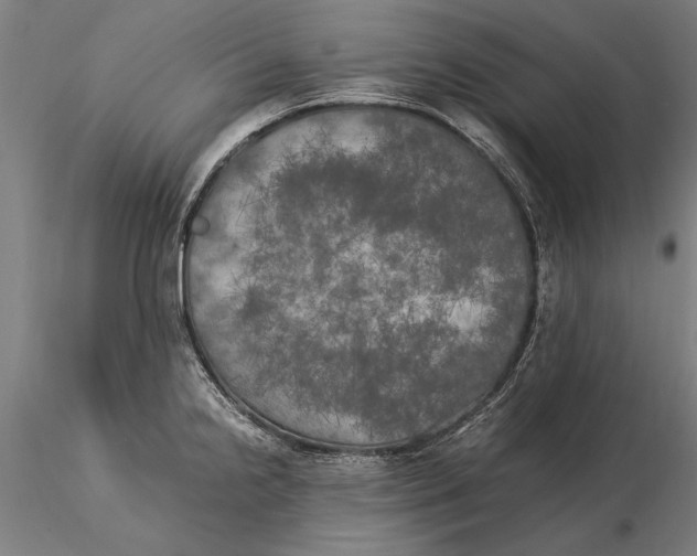 X0000116051238200912111456