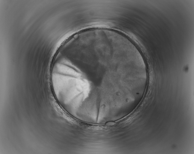 X0000116051240200912111456