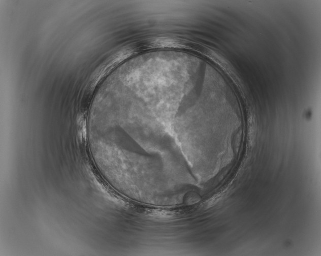 X0000116051241200912111456