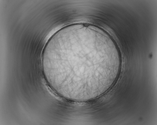 X0000116051242200912111456