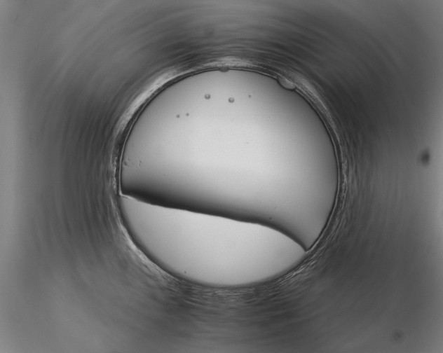 X0000116051243200912111456