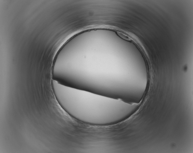 X0000116051244200912111456