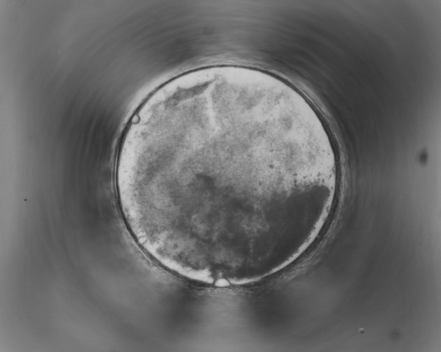 X0000116051246200912111456