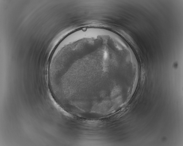 X0000116051247200912111456
