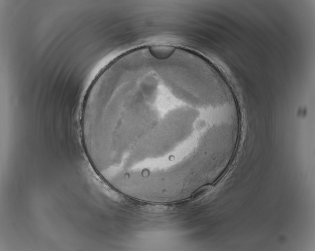 X0000116051248200912111456