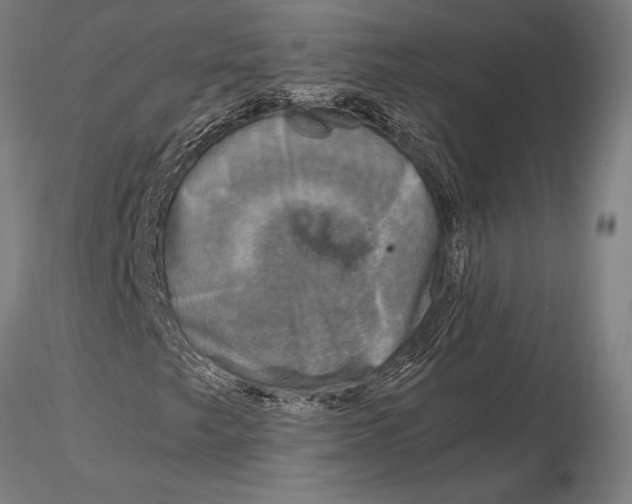 X0000116051249200912111456