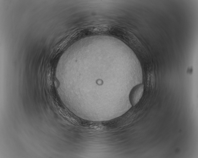 X0000116051250200912111456