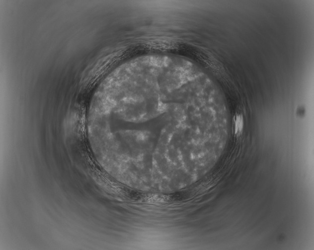X0000116051251200912111456