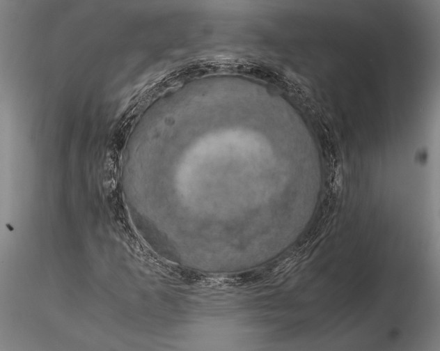 X0000116051253200912111456