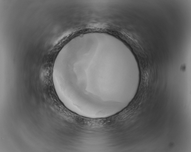 X0000116051254200912111456
