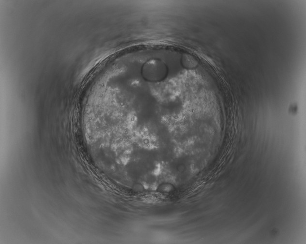 X0000116051255200912111456