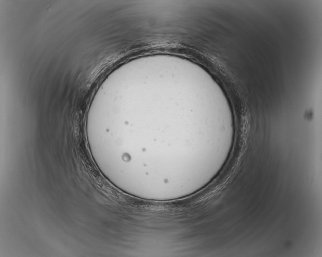 X0000116051257200912111456