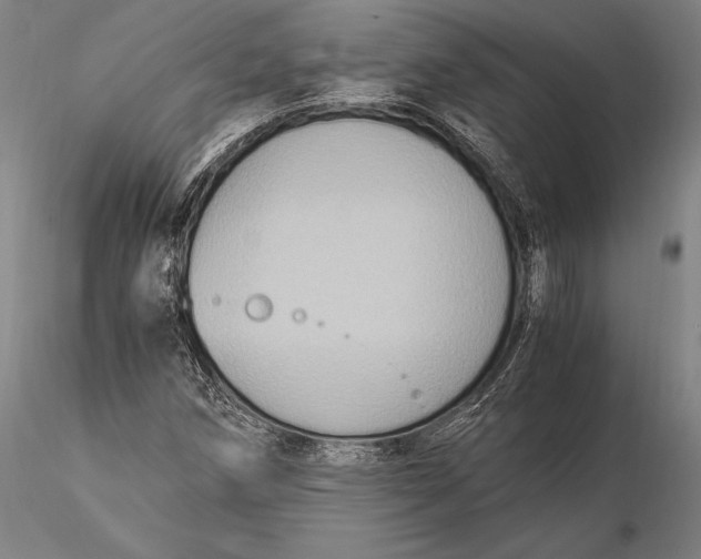 X0000116051258200912111456