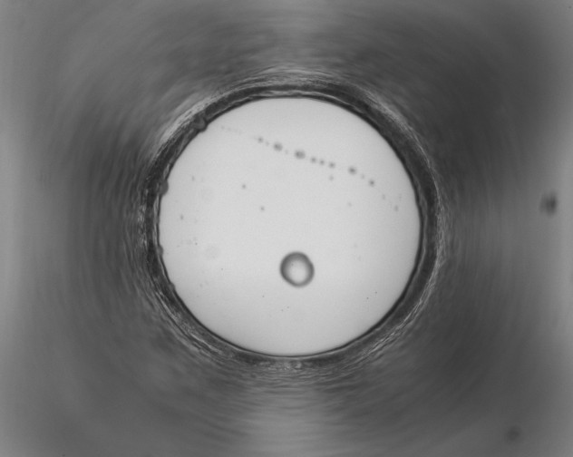 X0000116051259200912111456