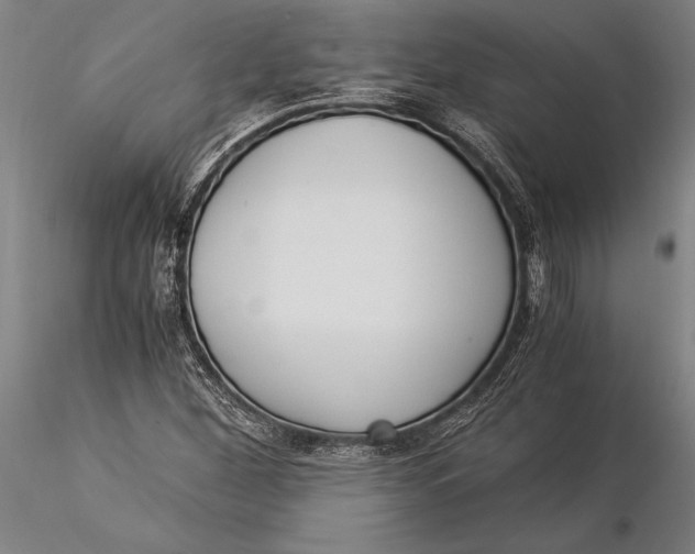 X0000116051260200912111456