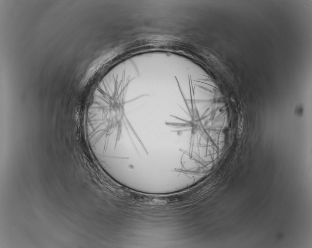 X0000116051261200912111456