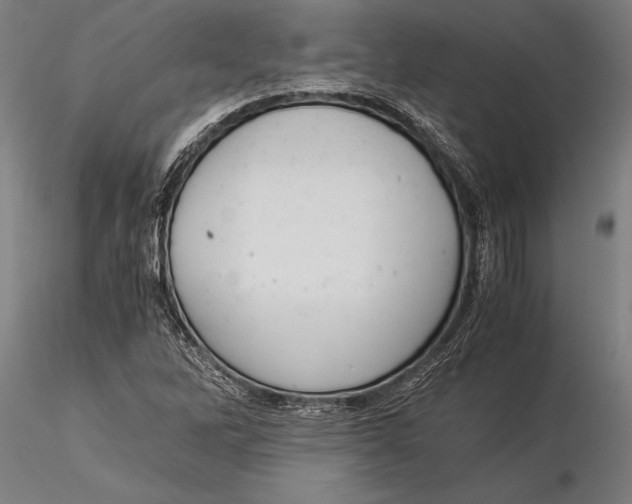 X0000116051262200912111456