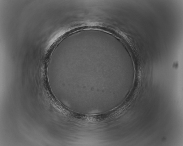 X0000116051263200912111456