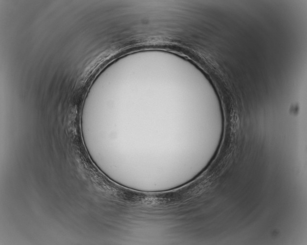 X0000116051265200912111455