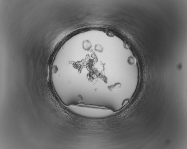 X0000116051267200912111455