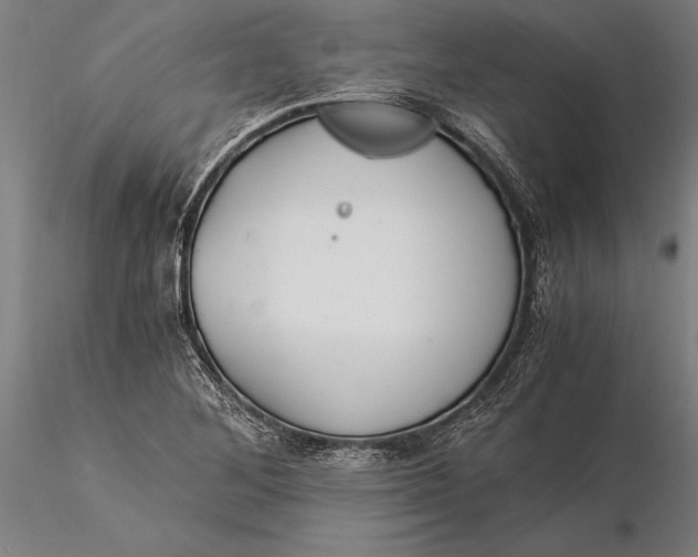 X0000116051268200912111455